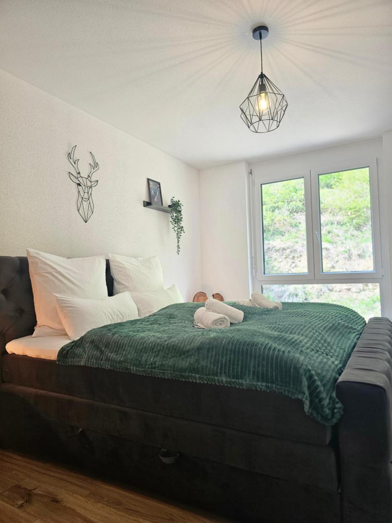 Black Forest II Sauna I Boxspring I Nespresso I Ausblick I Wasserfaelle Im Ort Todtnau Extérieur photo